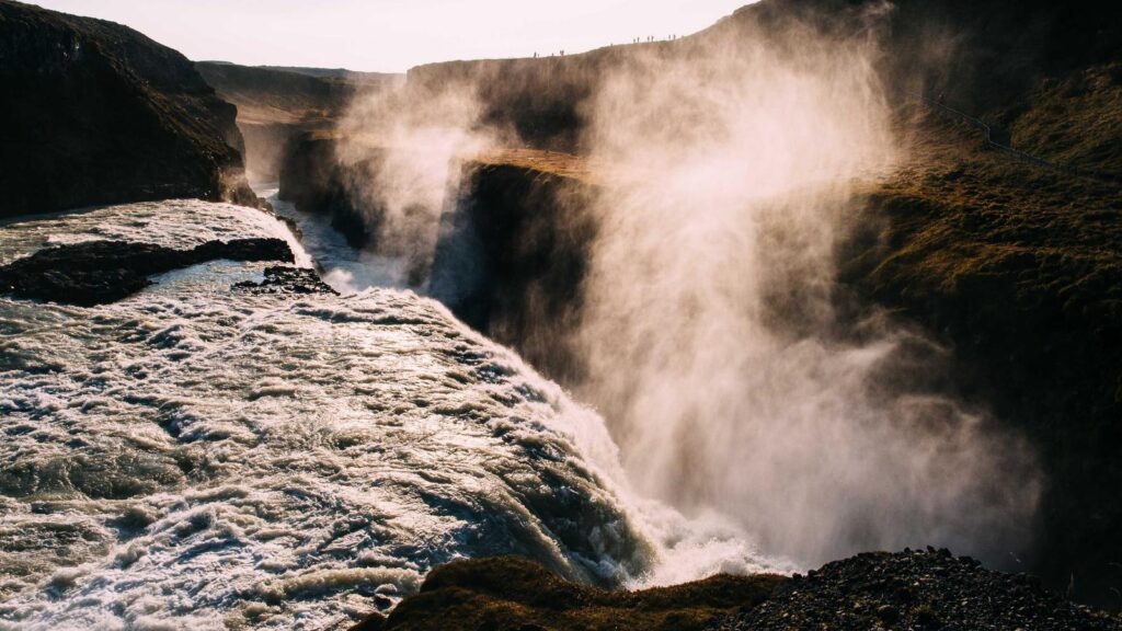 best wordpress themes for agencies